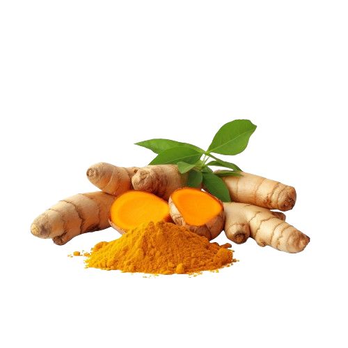 Turmeric powder