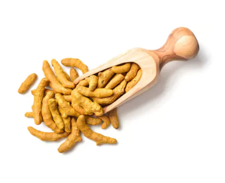 Turmeric Root