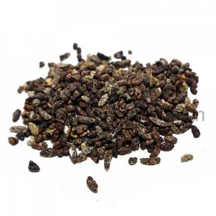 best quality cardamom price in india