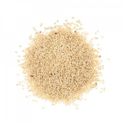 online spices store